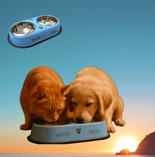 Stainless Steel Feeding Bowls for Pet (Multi color, M)