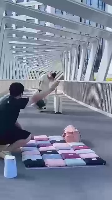 👜 Women’s Multifunctional Travel Duffle Bag – Travel in Comfort & Style